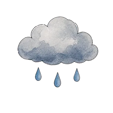 雨